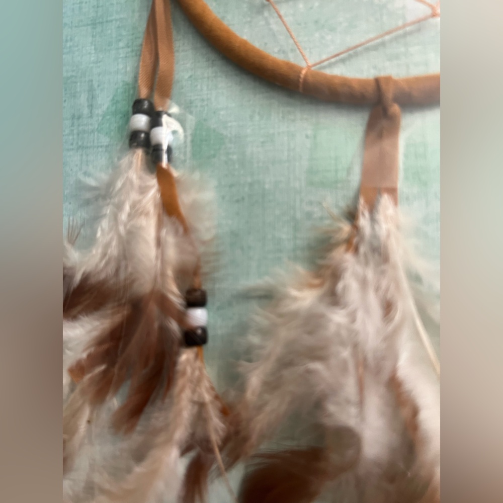 Brown and White Dreamcatcher Wall Decor - Picture 7 of 10